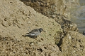 13 04 12_9355_edited-1
